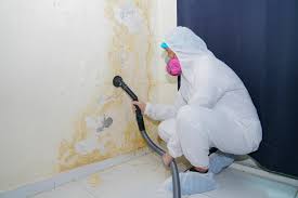 Manorhaven, NY Mold Removal Company